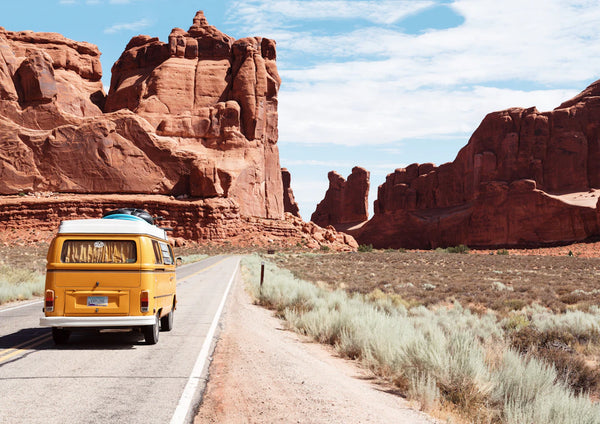 Whistle While You Wander: Traveling with a Stainless Steel Tea Kettle