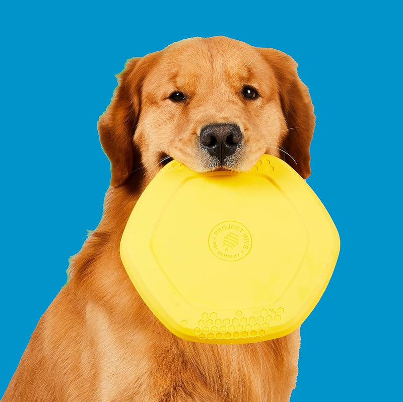 Hive Frisbee for Dogs - Dog Disc - Great for Fetch - Includes a Lick Mat on Back - Floats in Water, Smooth Glide - Made in the USA