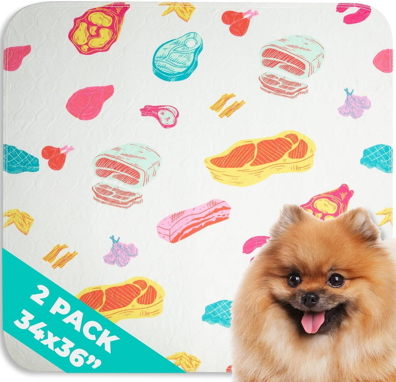 Reusable Dog Pee Pads - Large 2 Pack Non-Slip 34x36 - Rainbow Design