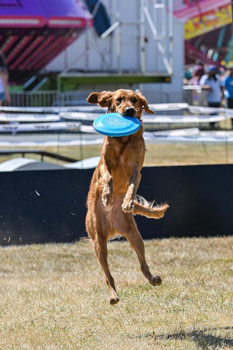 Hero Air 235 Dog Frisbee, Outdoor Dog Toy and Pet Frisbee, Lightweight Dog Flying Disc (Yellow)