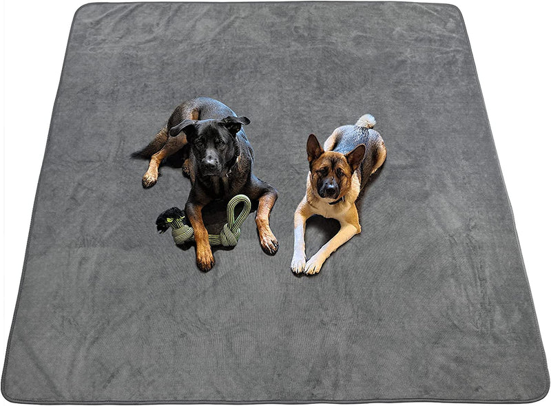 Washable Dog Pee Pad - Extra Large Non-Slip Mat for Incontinence and Housebreaking - Instant Absorb