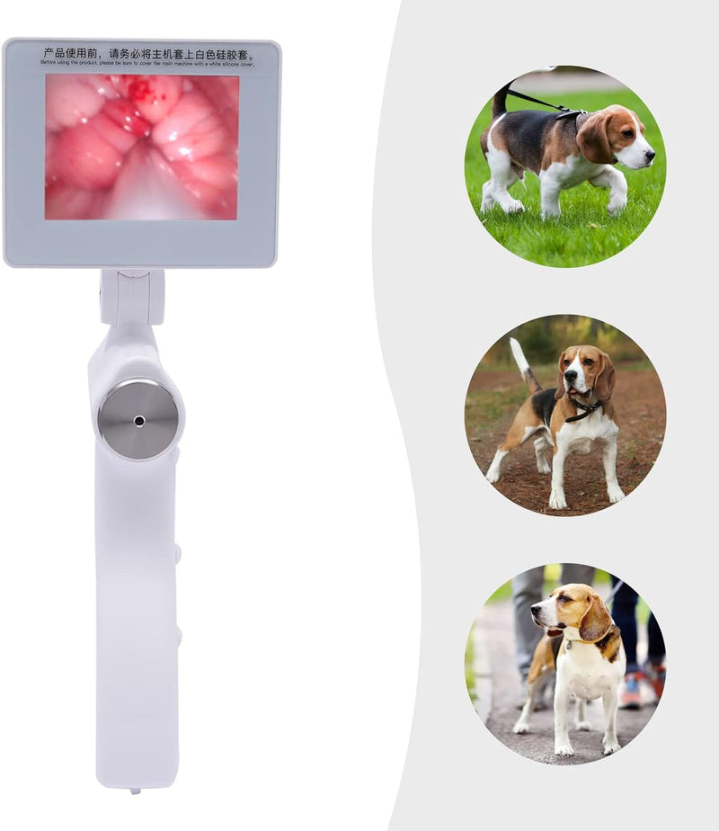 HGB Ethedeal Visual Dog Artificial Insemination Gun Kit,Dog Veterinary Breeding Kit,Dog Visual Endoscope Breeding Kit,With 5MP Camera Rotatable Screen (Small)