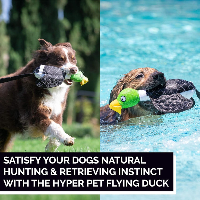 Hyper Pet Flying Series Interactive Dog Toys - Large Duck Slingshot Fetching Dog Toy - Floats on Water