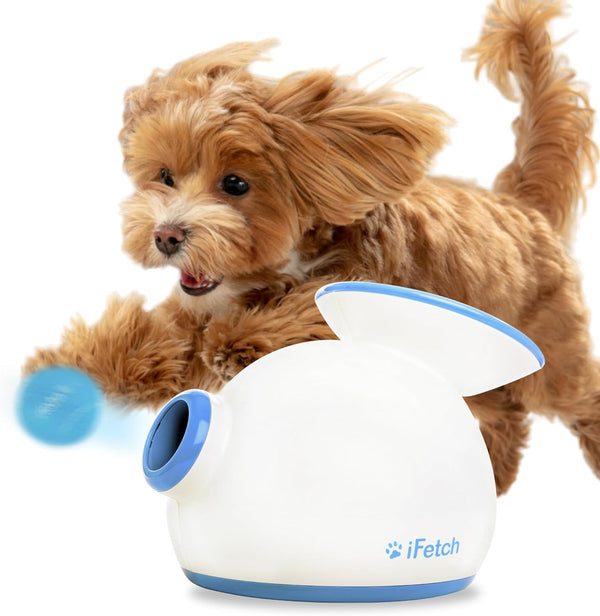 iFetch Automatic Dog Ball Launcher for Small to Medium Dogs, Indoor/Outdoor Dog Toy Thrower, Includes 3 Mini Tennis Balls