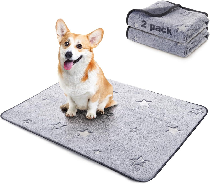 Washable Pee Pads for Dogs - 2 Pack Fast Absorption Reusable Puppy Pads - Waterproof Whelping Pads - Non-Slip Training Pad for Dogs - 31x36