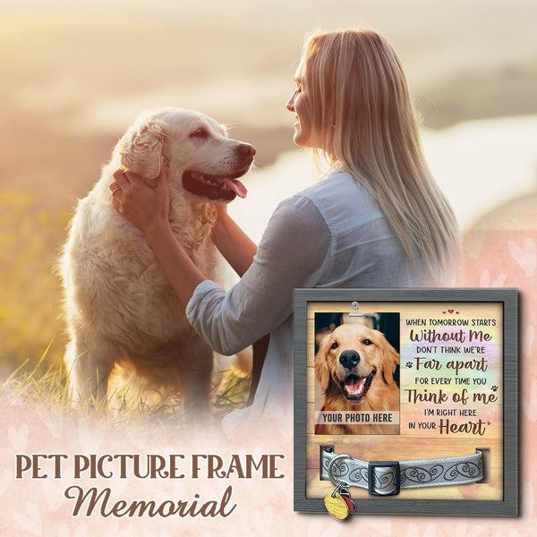 House Dog Memorial Gifts for Loss of Dog Pet Memorial Collar Frame and Bereavement Frame for Pictures