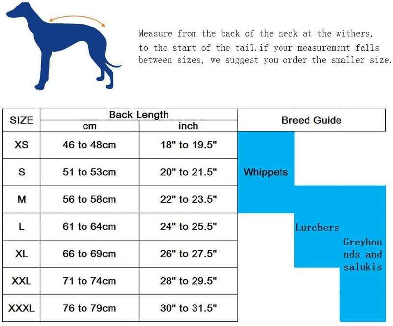 Greyhound Winter Coat with Lamb Velvet Lining for MediumLarge Dogs - Navy XL