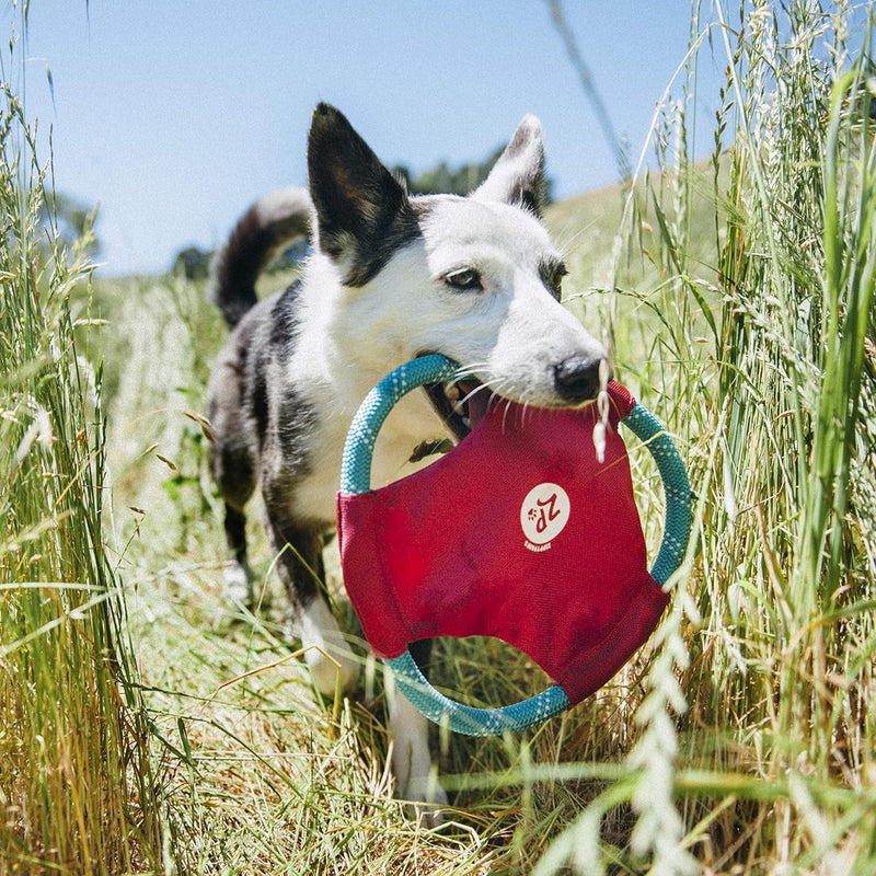 Zippypaws - Rope Gliderz Durable Outdoor Dog Toy Flying Disc - Magenta