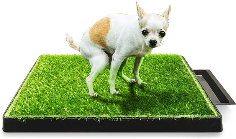 Hompet Dog Potty for Indoor or Porch, 2 Pcs Artificial Grass Training Pads with Pee Baffle, Reusable , Alternative to Puppy Pads, Portable Dog Litter Box for Small/Medium Dogs