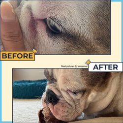 Wrinkle Paste for Bulldogs (2Oz)+Wrinkle Wipes French Bulldog(50Wipes)-Say Bye to Rash on French & English Bulldog,Pug. Wrinkle Wipes English Bulldog anti Itch Treatment for Wrinkles,Paw, Tail Pockets