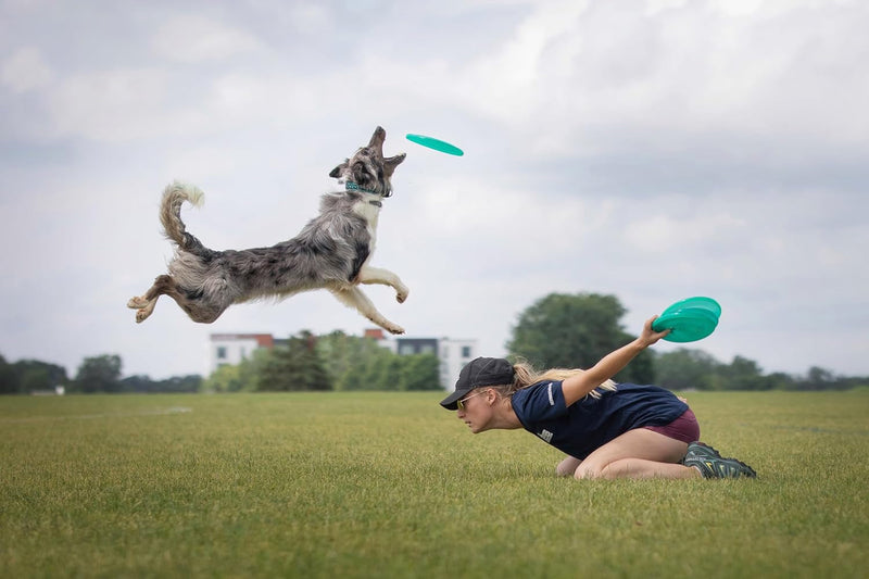 Hero Xtra 235 Distance Dog Frisbee, Outdoor Dog Toy and Pet Frisbee, Distance Dog Flying Disc Pack of 2 (Blue)