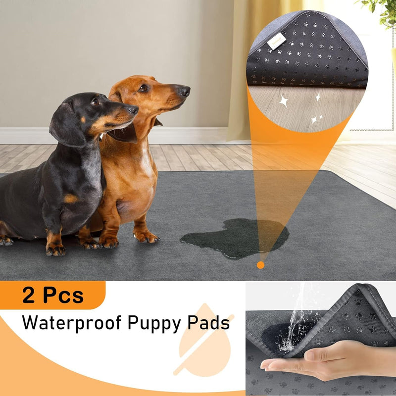 Washable Puppy Training Pads - Fast Absorbent and Non-Slip - 2 Pack - 48X60-Gray