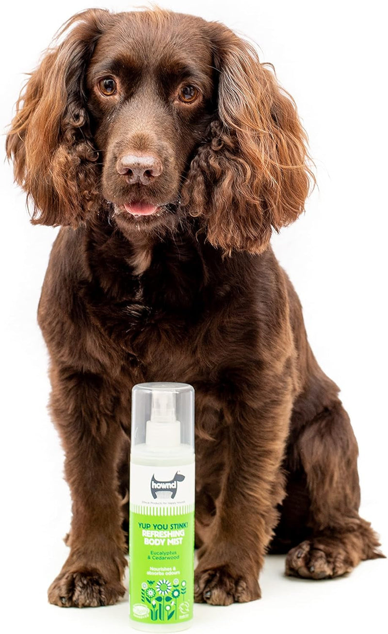 Hownd Yup You Stink! Refreshing Body Mist for Smelly Dogs - Made with Eucalyptus & Cedarwood - Absorbs Strong Odors & Refreshes Coat - Long-Lasting Fresh Fragrance - Vegan, Cruelty Free - 8.45Oz