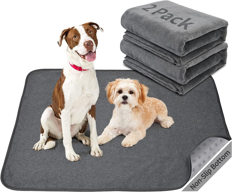 Washable Dog Pee Pad - Extra Large Non-Slip Mat for Incontinence and Housebreaking - Instant Absorb