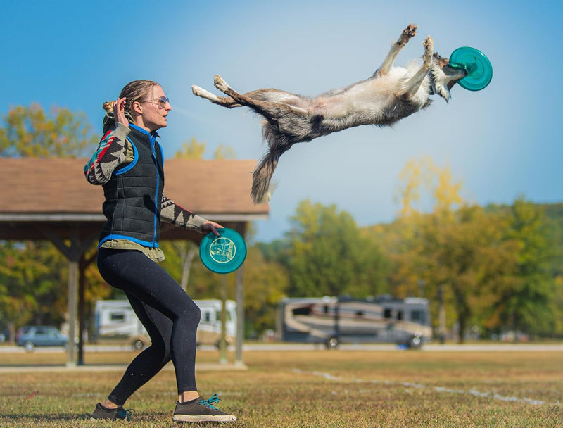 Hero Air 235 Dog Frisbee, Outdoor Dog Toy and Pet Frisbee, Lightweight Dog Flying Disc (Yellow)