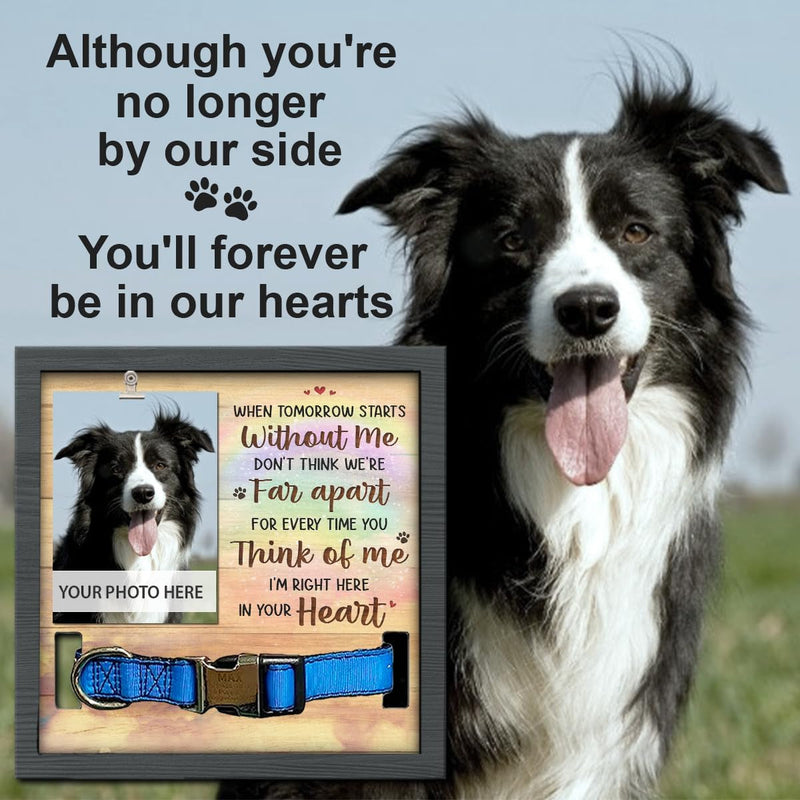 House Dog Memorial Gifts for Loss of Dog Pet Memorial Collar Frame and Bereavement Frame for Pictures