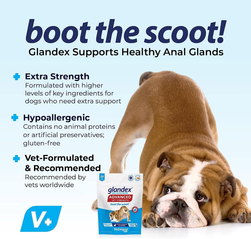 Glandex Anal Gland Hygienic Pet Wipes 100 Ct Advanced Vet-Strength Chews 30 Ct Bundle Dog Cleaning Wipes with Fresh Scent, Vet-Strength Anal Gland Supplement for Dogs with Extra Fiber