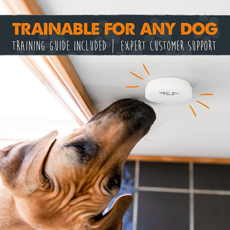 Wireless Dog Bell and Treat Bundle - Mighty Paw Smart Bell 20  Yak Cheese Training Crackers 1 Activator