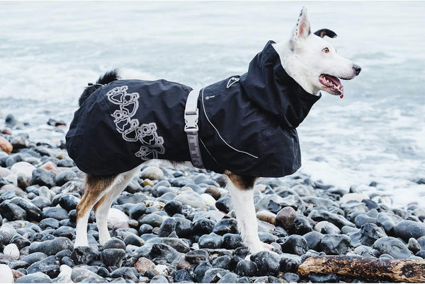 Hurtta Dog Raincoat - Raven 18