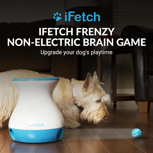 iFetch Frenzy Interactive Dog Toy, Self Fetch Mini Tennis Ball Machine for Small and Medium Dogs, Includes 3 Tennis Balls, Mental Stimulation Brain Game