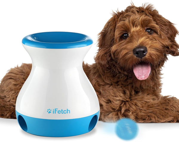 iFetch Frenzy Interactive Dog Toy, Self Fetch Mini Tennis Ball Machine for Small and Medium Dogs, Includes 3 Tennis Balls, Mental Stimulation Brain Game