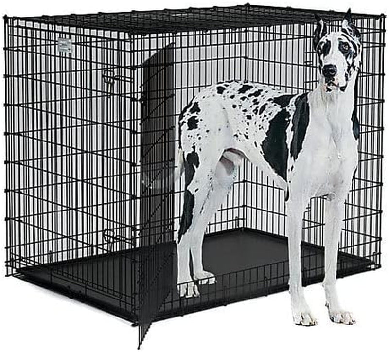 XXL Dog Crate for Large Breeds - Midwest Homes for Pets SL54DD Ginormus Double Door Crate