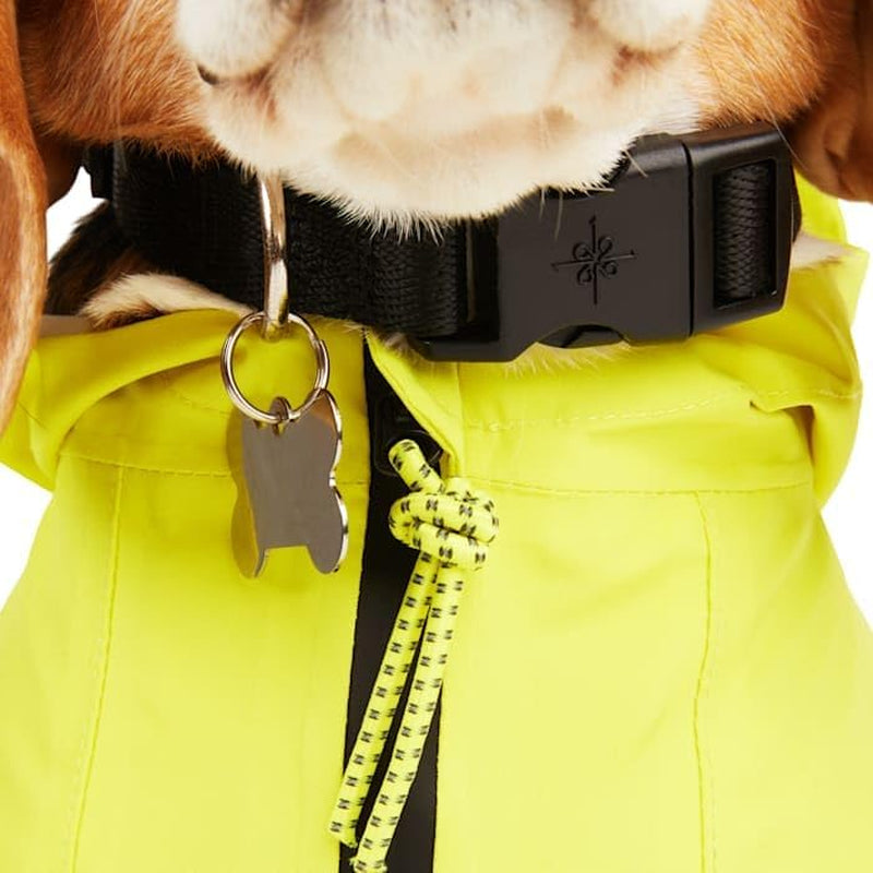 Yellow Dog Rain Jacket - X-Small - Backcountry X Petco