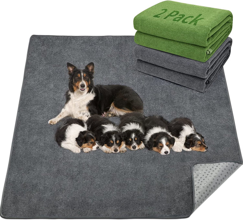 Washable Puppy Training Pads - Fast Absorbent and Non-Slip - 2 Pack - 48X60-Gray