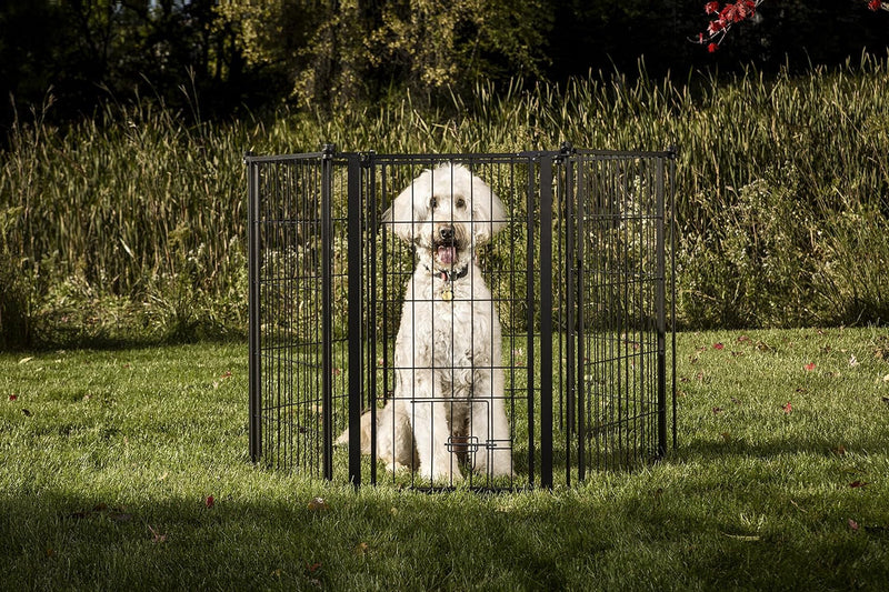 Output Carlson 3-in-1 Extra Tall Outdoor Pet Gate with Small Pet Door - Black