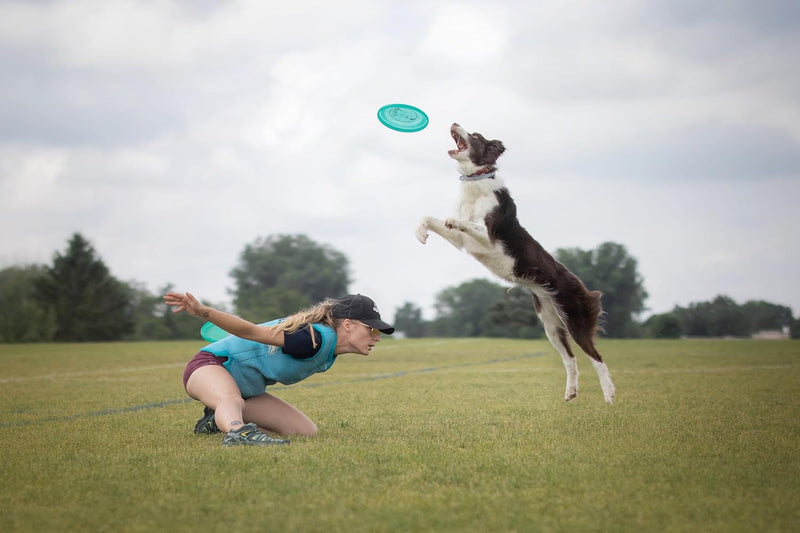 Hero Air 235 Dog Frisbee, Outdoor Dog Toy and Pet Frisbee, Lightweight Dog Flying Disc Pack of 2 (Pink)