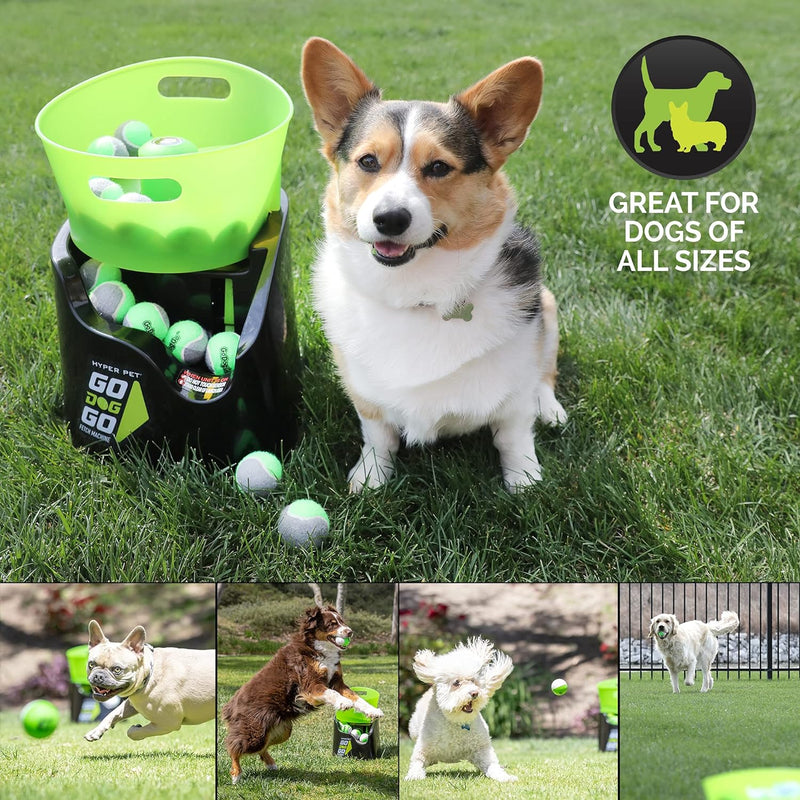 Hyper Pet GoDogGo Fetch Automatic Machine Dog Ball Launcher for Dogs With Five 2.5" Balls for Breeds 20-60 Pounds