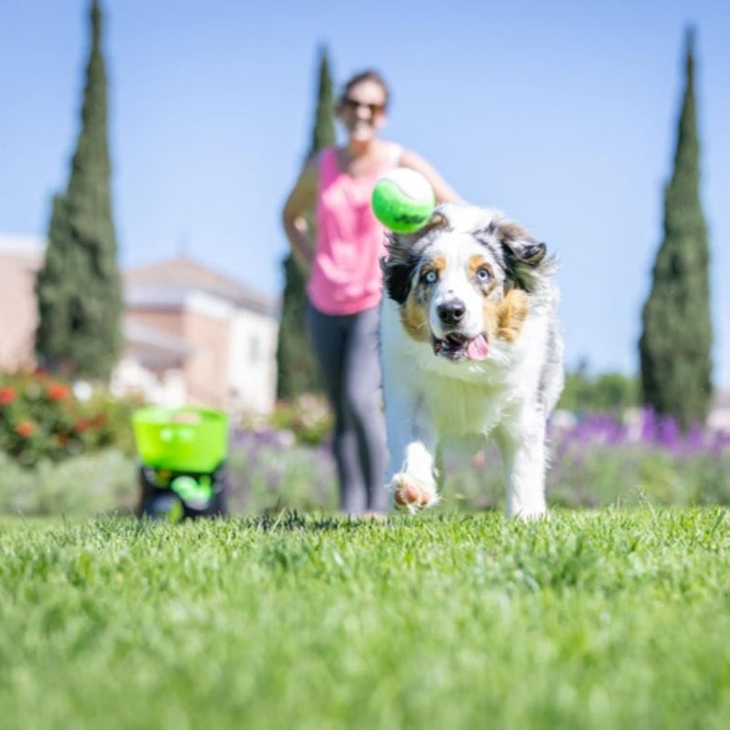 Hyper Pet GoDogGo Fetch Automatic Machine Dog Ball Launcher for Dogs With Five 2.5" Balls for Breeds 20-60 Pounds