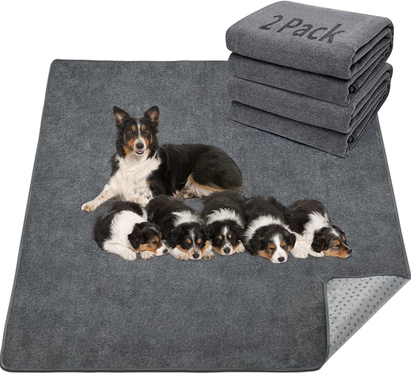 Washable Puppy Training Pads - Fast Absorbent and Non-Slip - 2 Pack - 48X60-Gray