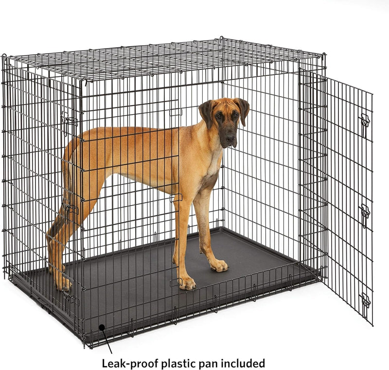 XXL Dog Crate for Large Breeds - Midwest Homes for Pets SL54DD Ginormus Double Door Crate