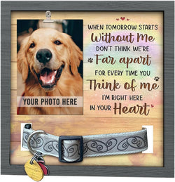 House Dog Memorial Gifts for Loss of Dog Pet Memorial Collar Frame and Bereavement Frame for Pictures