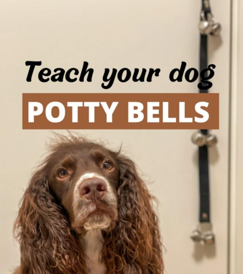 Dog Door Bell for Potty Training and Training Effectiveness - Easy to Use and Durable