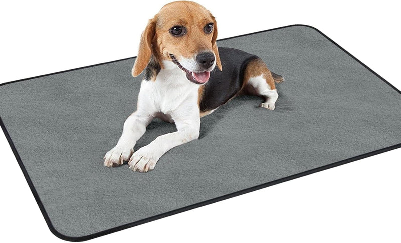 2 Pack Washable Whelping Pads for Dogs - Extra Large Pee Pads for Training Travel and Housebreaking - 72x72