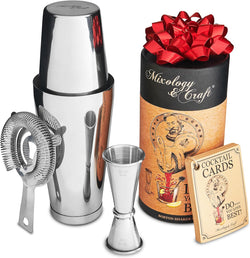 Mixology Cocktail Shaker Boston Shaker Set Professional Weighted Martini Shakers, Strainer and Japanese Jigger, Portable Bar Set for Drink Mixer Bartending, Exclusive Recipes Cards (Silver)