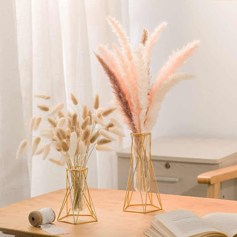 Gold Geometric Vase Set with Air Plant Stand and Hydroponic Glass Test Tube - Modern Wedding  Home Centerpiece No Flowers