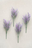 Purple Lavender Bush