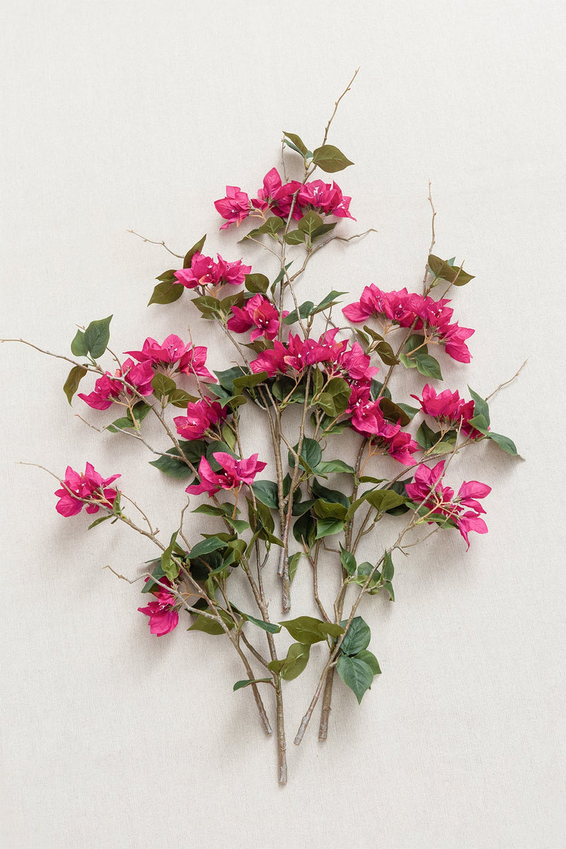 Bougainvillea Branches