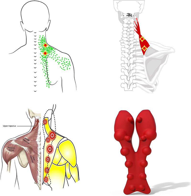 LittleMum Trapezius Trigger Point Massager, Myofasical Release Neck and Shoulder Pain, Suboccipital Release Tool, Posture Corrector, Relieve Upper Back Pain &Tension Headache