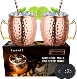 LIVEHITOP Moscow Mule Copper Mugs Set of 2, Copper Cups 19.5 Oz Cocktail Kit with Straw Coaster for Wine, Beer, Cold Drink, Bar, Party, Gifts