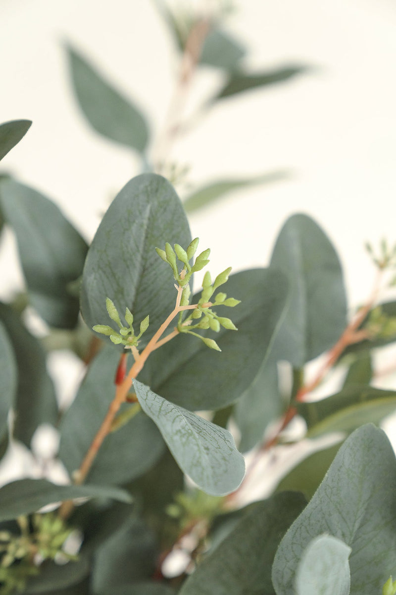 Sale Greenery Branches