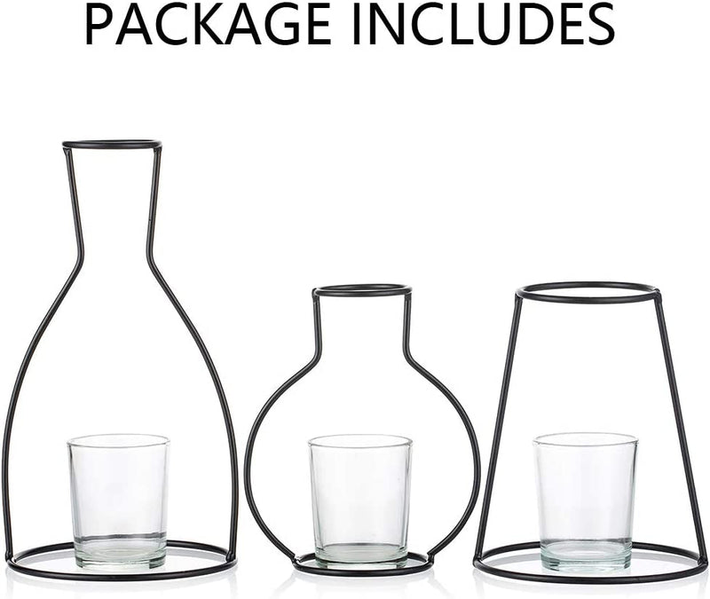 Nuptio Set of 3 Desktop Planter Set with Glass Cup Vases and Iron Metal Stand