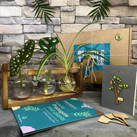 Plant Propagation Station Glass Terrarium Planter Flower Pot with Retro Solid Wooden Stand for Home Kitchen Indoor Garden Wedding Desktop Decor, 3 Bulb Vase