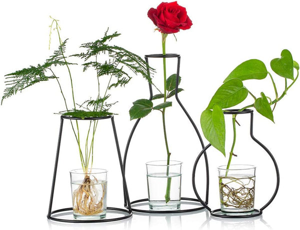 Nuptio Set of 3 Desktop Planter Set with Glass Cup Vases and Iron Metal Stand
