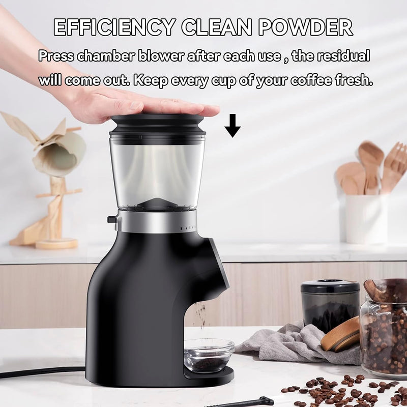 BEEONE Conical Burr Coffee Grinder with Digital Control, Espresso Grinder with 31 Precise Settings for 1-10 Cups, Coffee Grinder Electric with Time Display and Countdown Display, Black