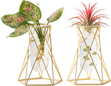 2 Pcs Gold Geometric Vase,Air Plant Stand,Hydroponic Plant Flower Vase Glass Test Tube,Modern Vases for Flowers as Wedding Home Office Centerpiece,Vases for Centerpieces(Not Include Flower)