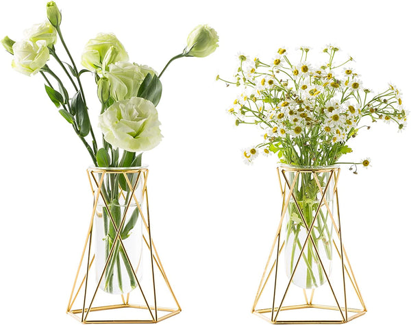 Gold Geometric Vase Set with Air Plant Stand and Hydroponic Glass Test Tube - Modern Wedding  Home Centerpiece No Flowers